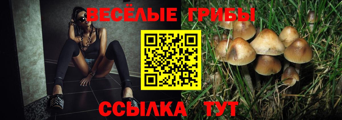 Псилоцибиновые грибы ЛСД  что такое наркотик  Реутов  Вход с VPN 